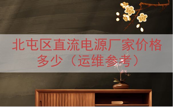 北屯区直流电源厂家价格多少（运维参考）
